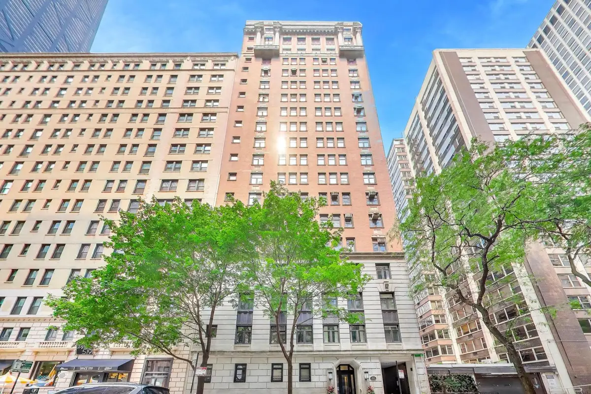 222 E Chestnut Street #9D, Chicago, IL 60611 - #1