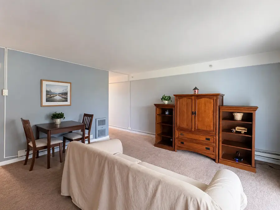 1910 W Hatherleigh Court #2C, Mount Prospect, IL 60056 - #3