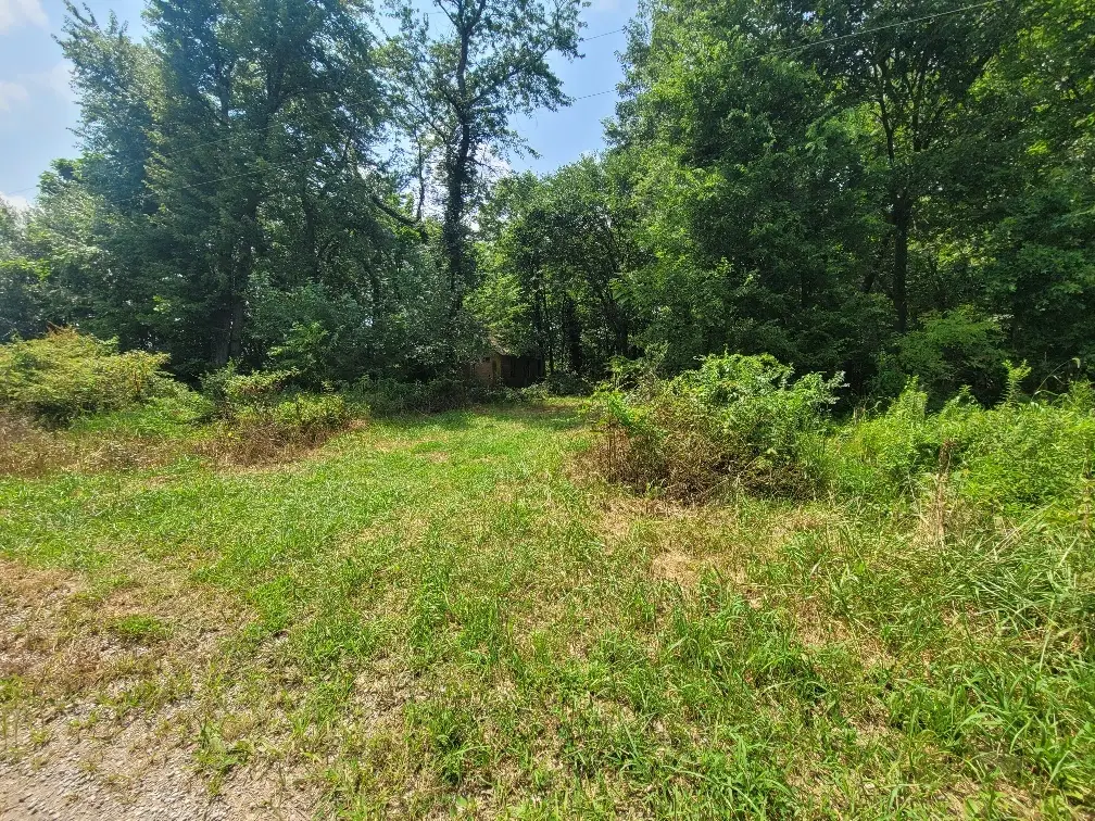 9469 County Road 1350 Road, McLeansboro, IL 62859 - #1