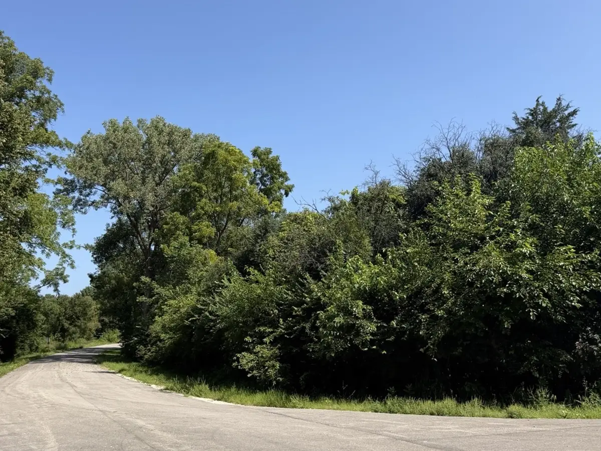 S Maplewood Drive, Wonder Lake, IL 60097 - #1