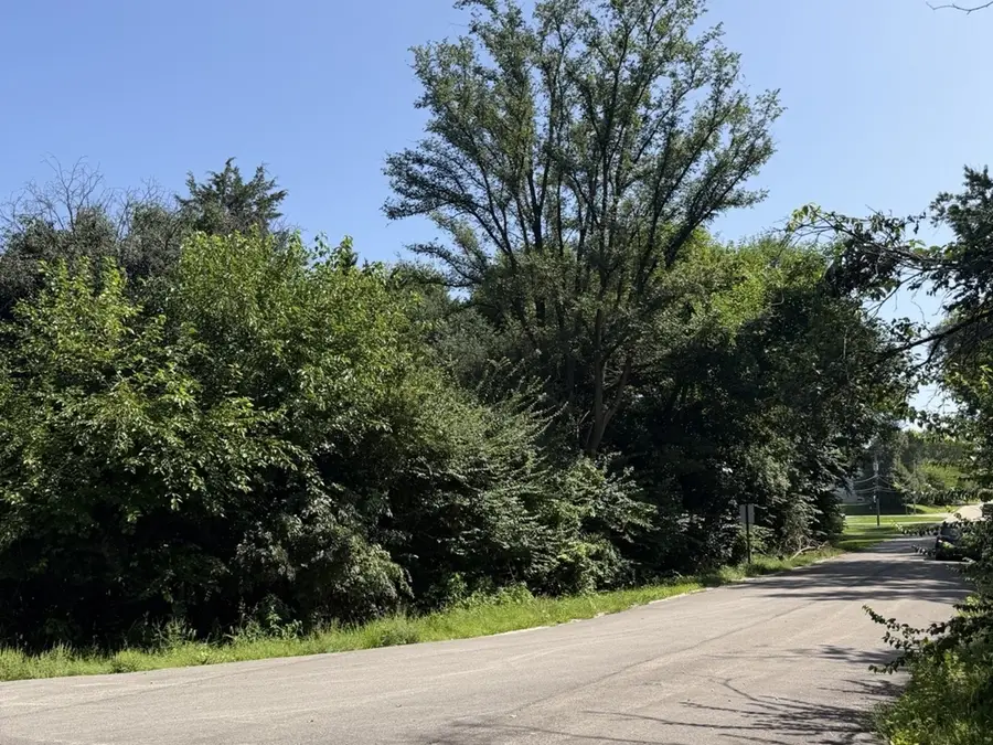 S Maplewood Drive, Wonder Lake, IL 60097 - #2
