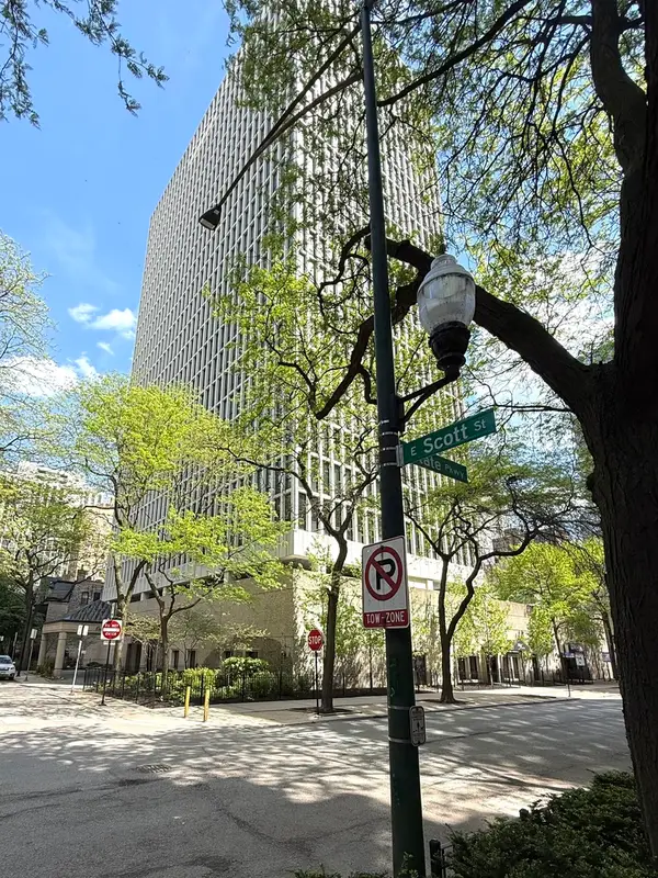 1 E Scott Street #1811, Chicago, IL 60610