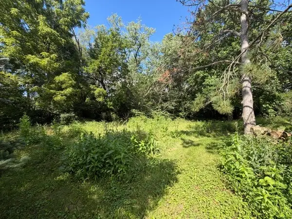 Lot 1 E Madison Street, Batavia, IL 60510