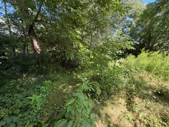 Lot 1 E Madison Street, Batavia, IL 60510 - #2