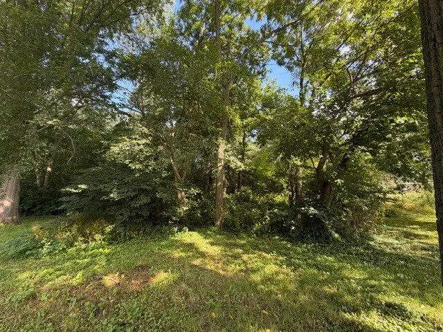 Lot 1 E Madison Street, Batavia, IL 60510 - #3