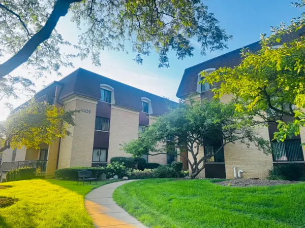 1105 N Mill Street #219, Naperville, IL 60563