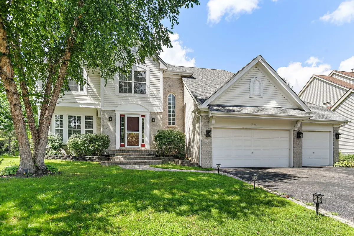 728 Brighton Circle, Port Barrington, IL 60010 - #1