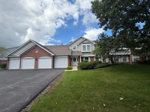 250 Ashbury Lane #3, Roselle, IL 60172