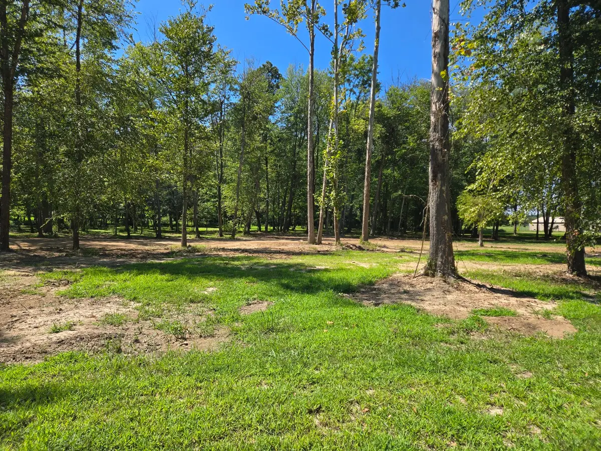 Lot 2 NE Norman Road, Marion, IL 62959 - #1