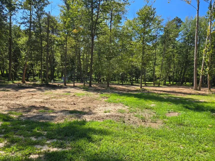 Lot 3 NE Norman Road, Marion, IL 62959 - #3