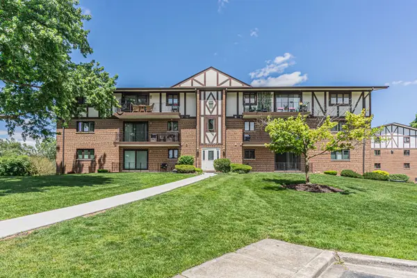11030 S Theresa Circle #3A, Palos Hills, IL 60465