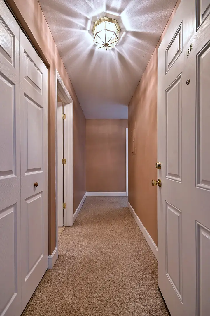 850 S Lorraine Road S #3E, Wheaton, IL 60189 - #3