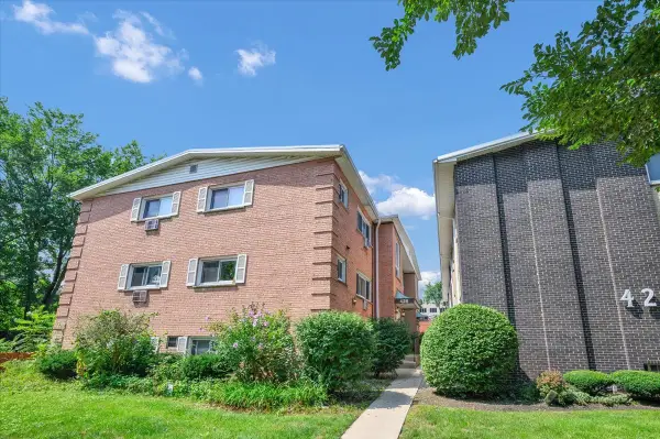425 S Elmwood Avenue #5, Oak Park, IL 60302