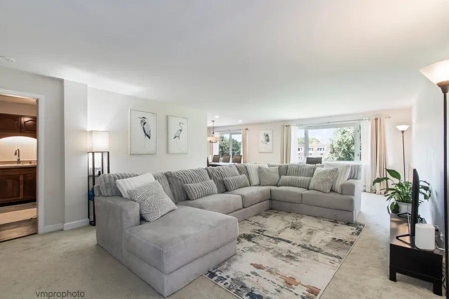 2812 E Bel Aire Drive #303, Arlington Heights, IL 60004 - #3