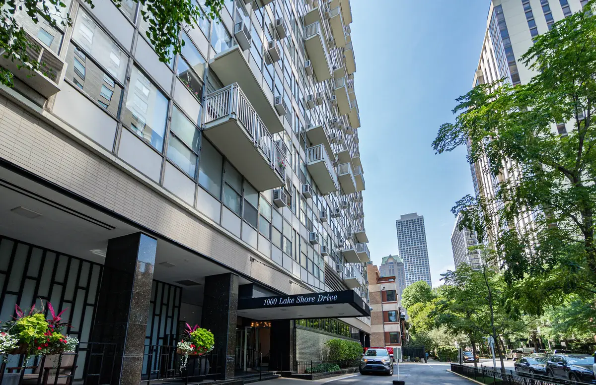 1000 N Lake Shore Drive #308, Chicago, IL 60611 - #1