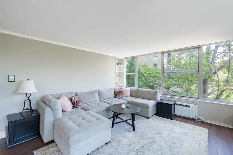 1000 N Lake Shore Drive #308, Chicago, IL 60611 - #2