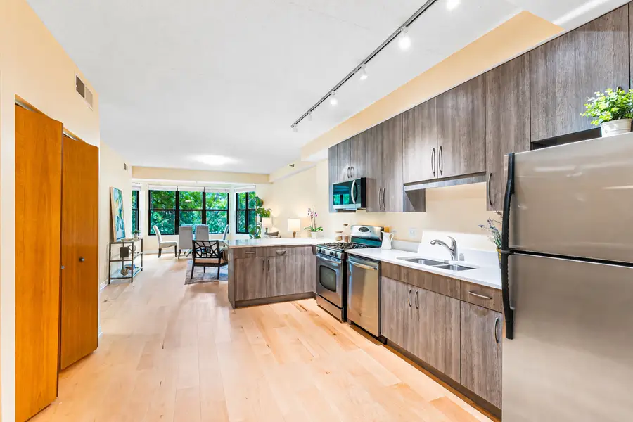 1250 S Indiana Avenue #307, Chicago, IL 60605 - #2