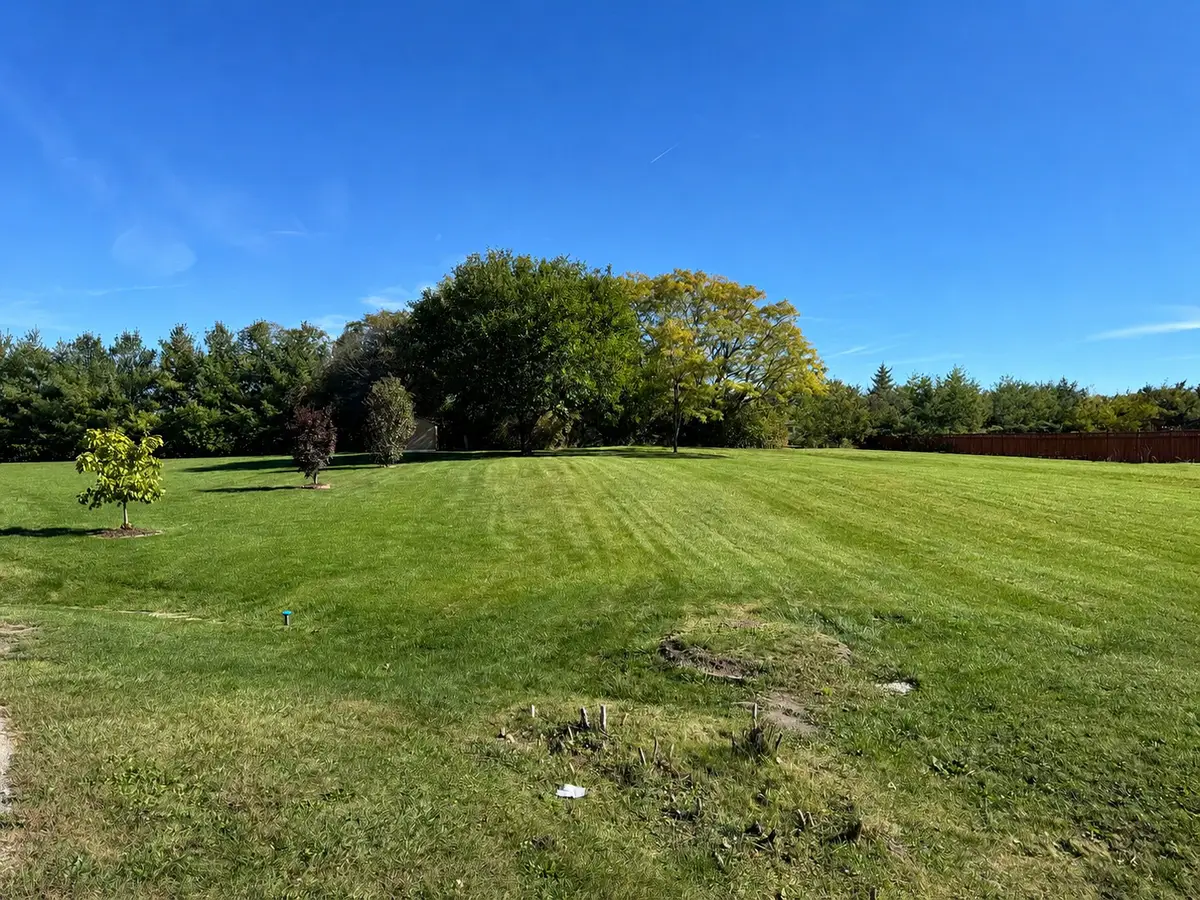 14747 S Helen Lane, Homer Glen, IL 60491 - #1