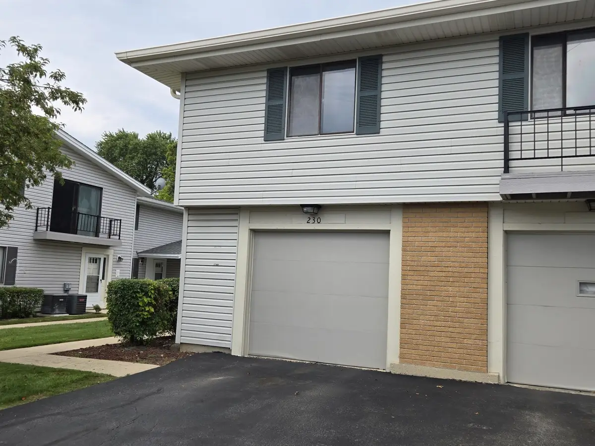 230 Patuxet Court #230, Schaumburg, IL 60194 - #1