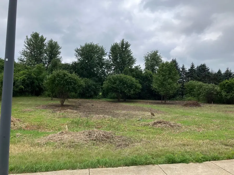 239 Frances Drive, Grayslake, IL 60030 - #3