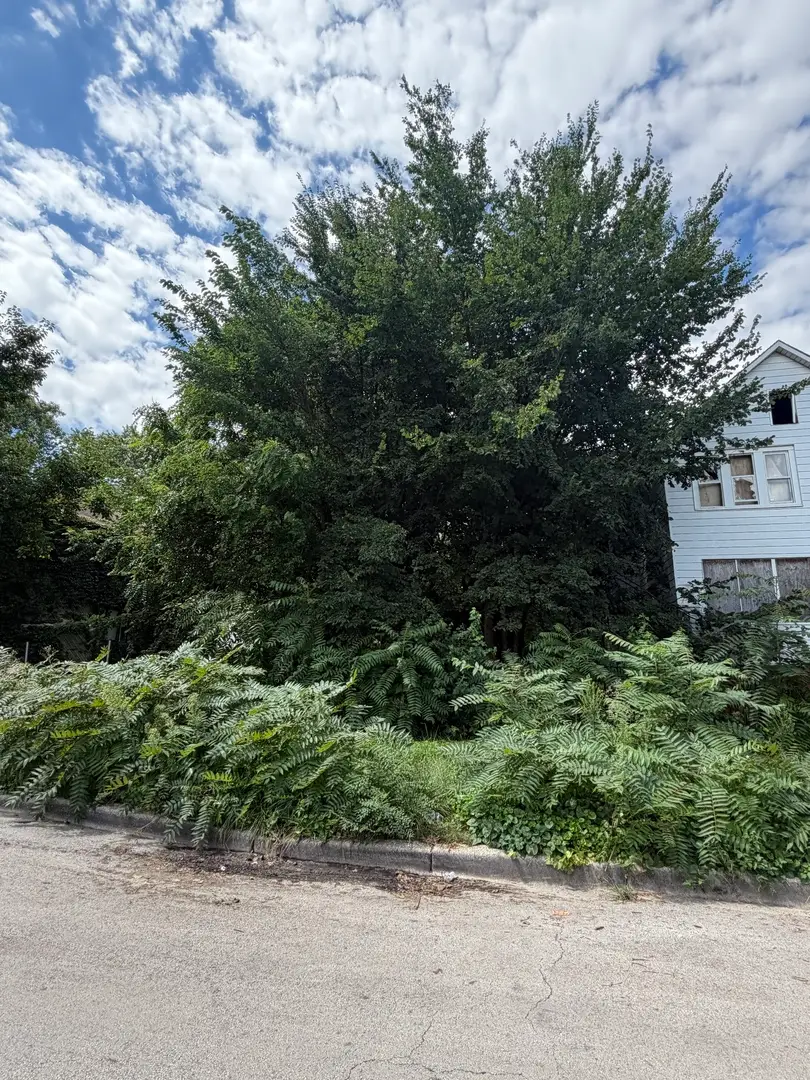 8228 S Manistee Avenue, Chicago, IL 60617 - #1