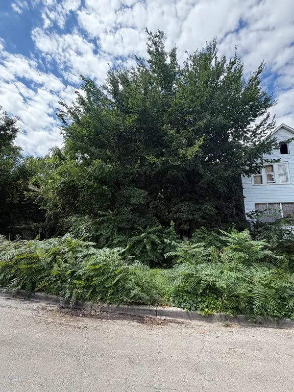 8228 S Manistee Avenue, Chicago, IL 60617