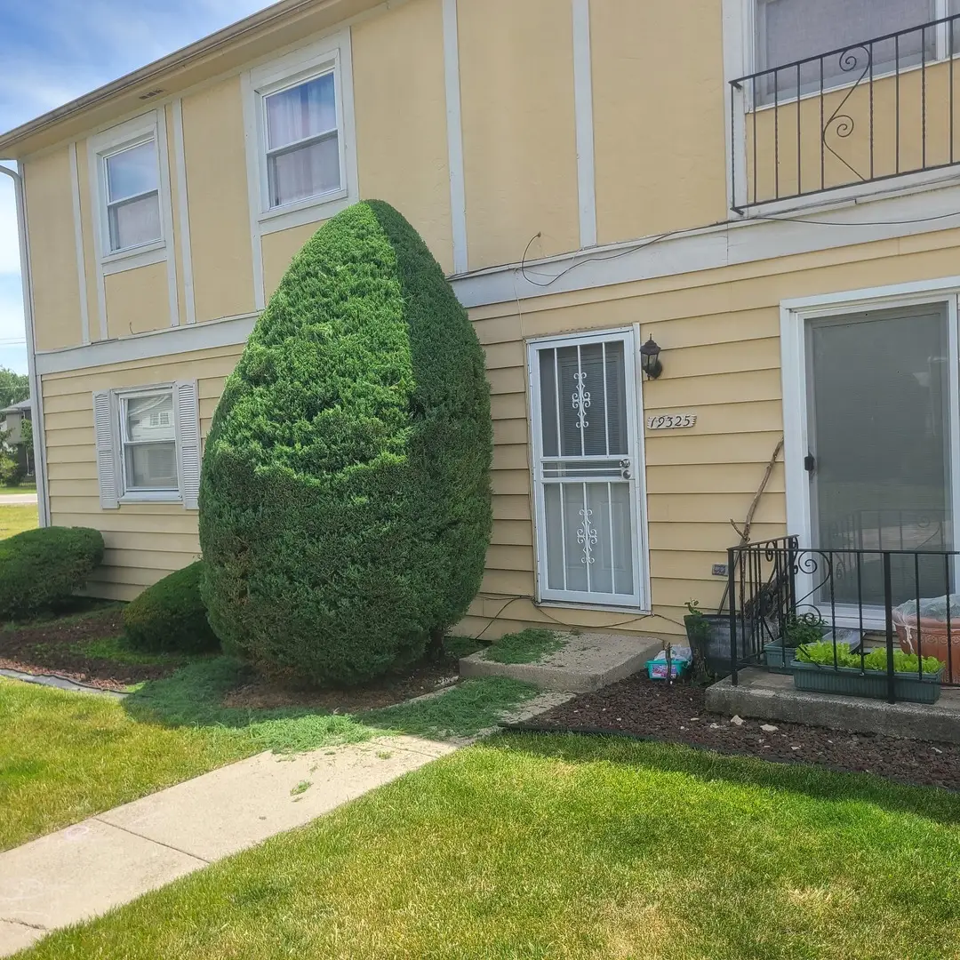 19325 Oakwood Avenue, Country Club Hills, IL 60478 - #1