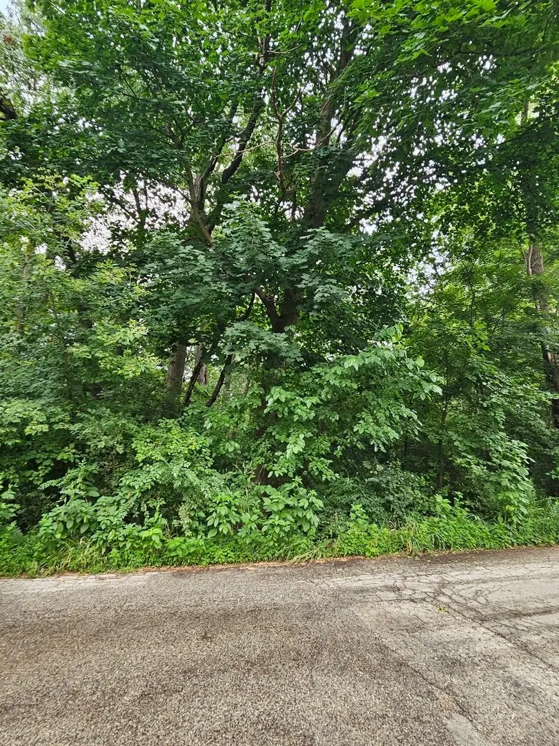 35 Ridgeland Avenue, Fox Lake, IL 60020 - #1