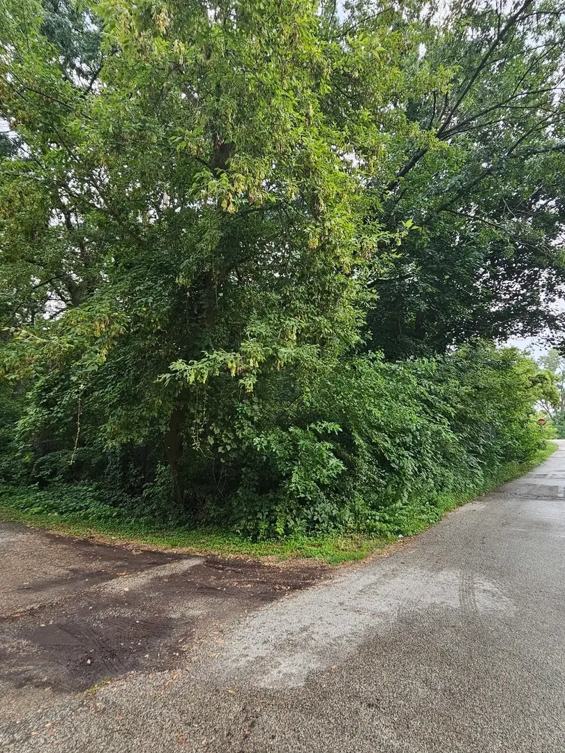 35 Ridgeland Avenue, Fox Lake, IL 60020 - #3