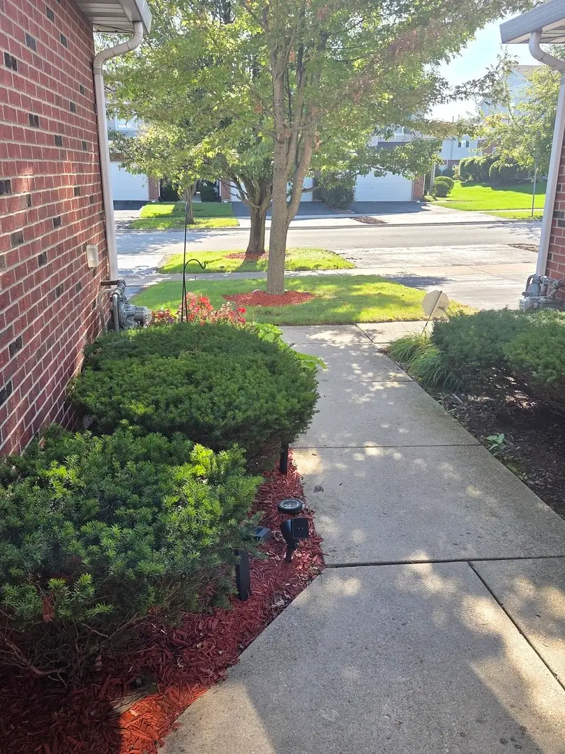 916 Berry Path Trail, Matteson, IL 60443 - #3