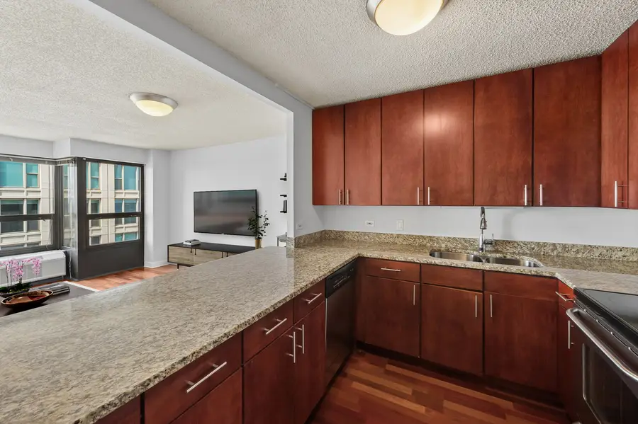 30 E Huron Street #5306, Chicago, IL 60611 - #3