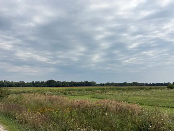 00 W Rt 113, Custer Park, IL 60481