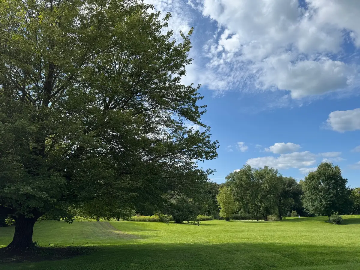 5S390 Deer Ridge Path, Big Rock, IL 60511 - #1