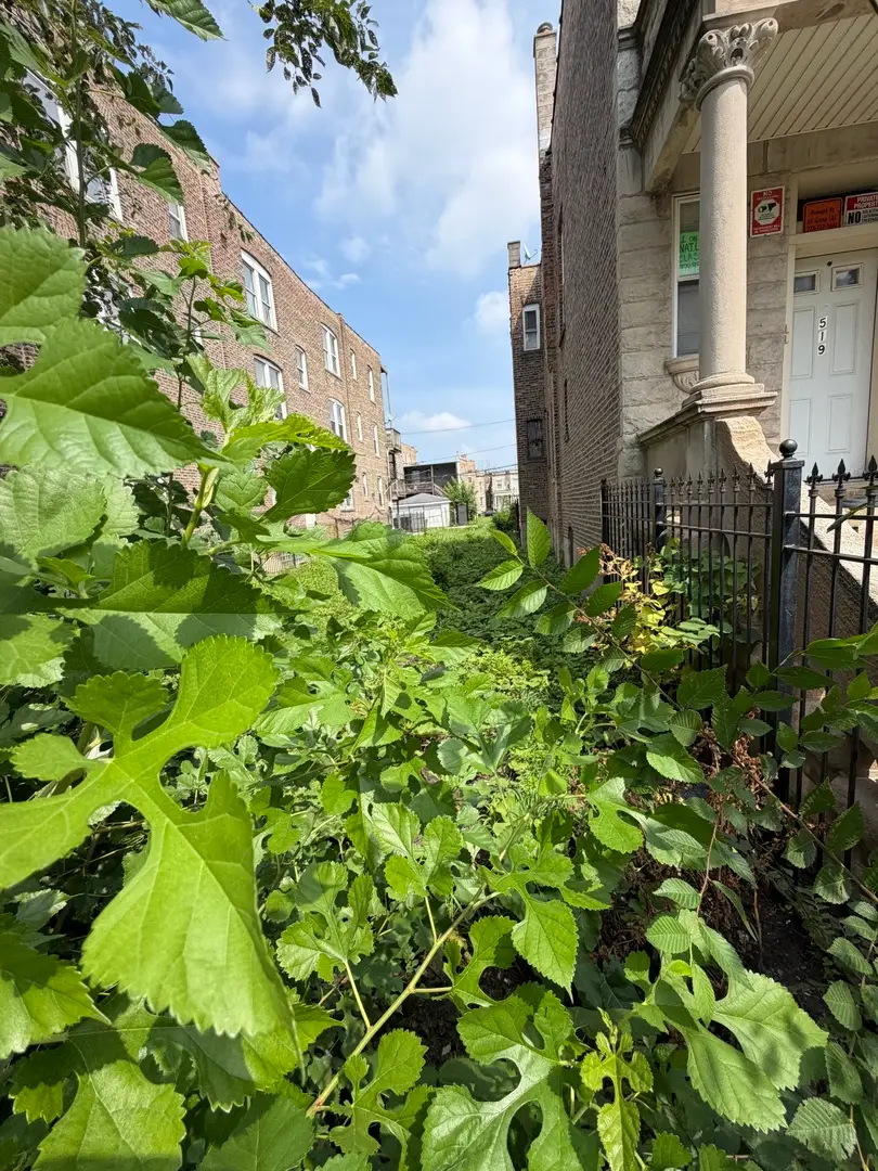1517 S Millard Avenue, Chicago, IL 60623 - #1