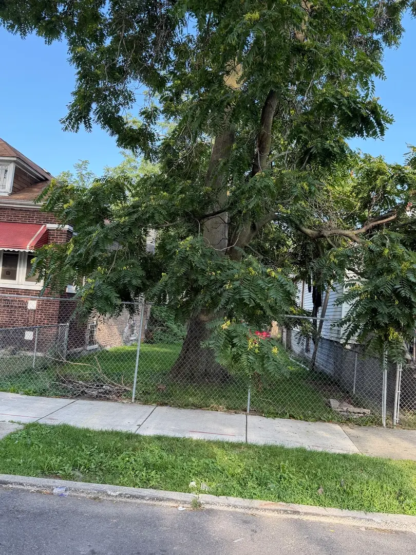 6145 S Morgan Street, Chicago, IL 60621 - #1