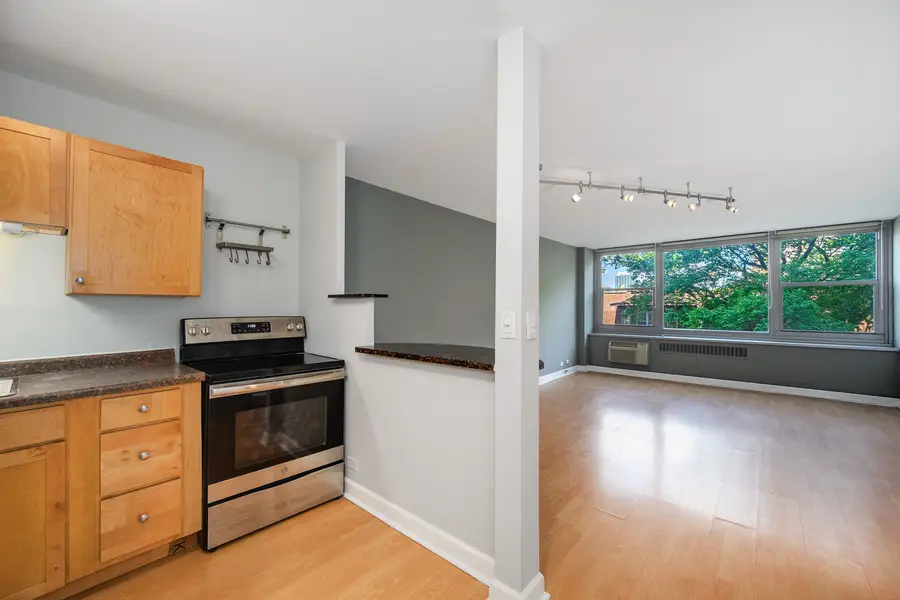 555 W Cornelia Avenue #403, Chicago, IL 60657 - #2