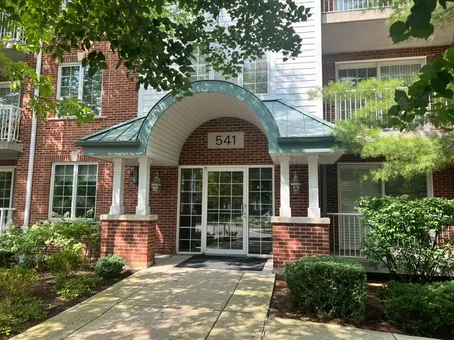 541 N Hough Street #305, Barrington, IL 60010 - #1