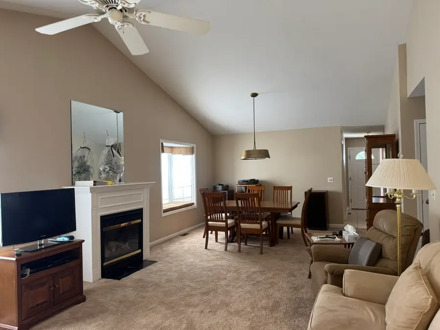 505 S Division Street, Peotone, IL 60468 - #3