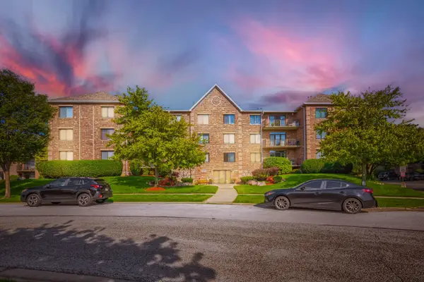 11035 Deblin Lane #305, Oak Lawn, IL 60453