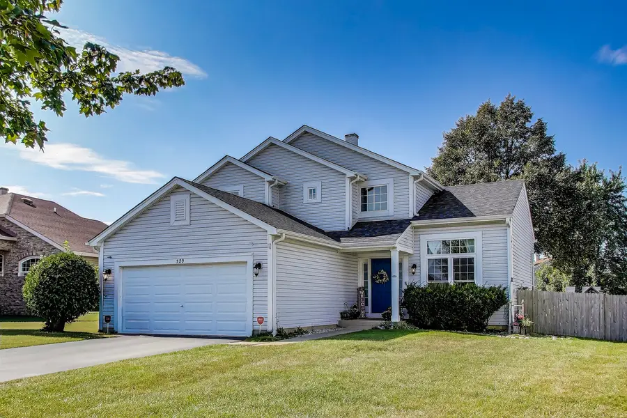 329 Sundance Drive, Bartlett, IL 60103 - #3