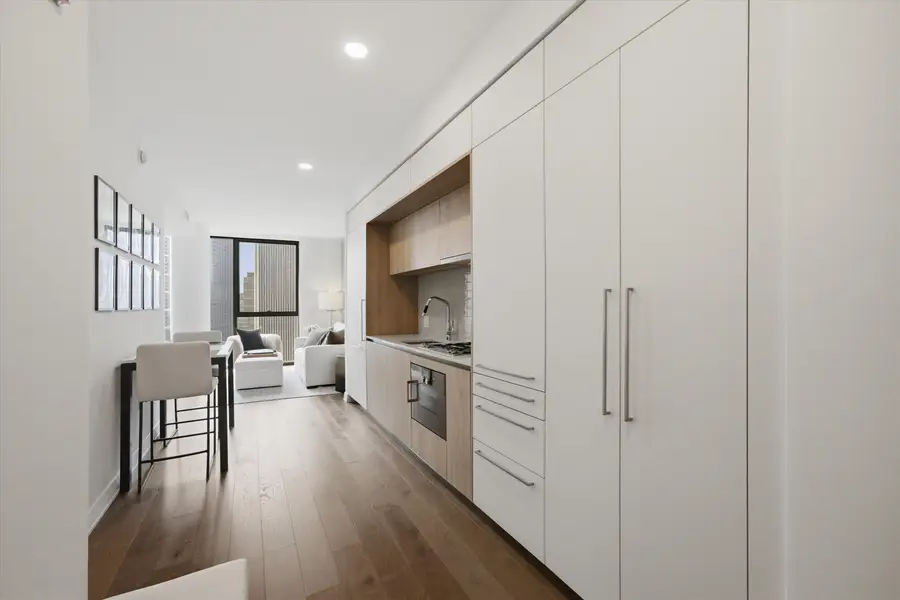 211 N Harbor Drive #3605, Chicago, IL 60601 - #2