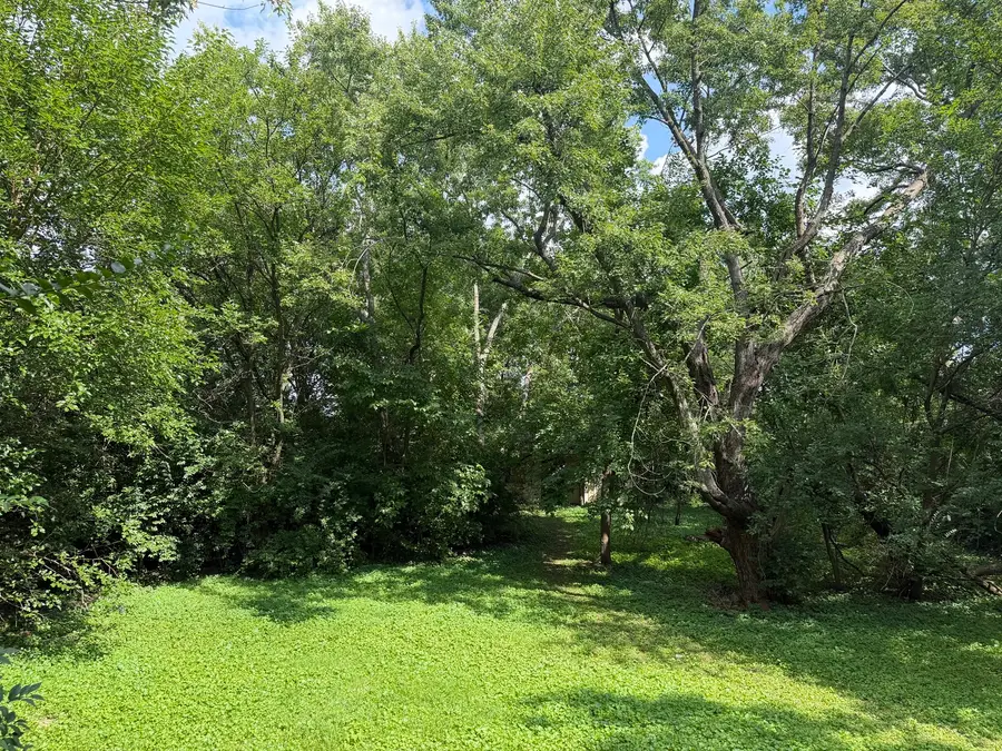 159 Thomas Lane, New Lenox, IL 60451 - #3