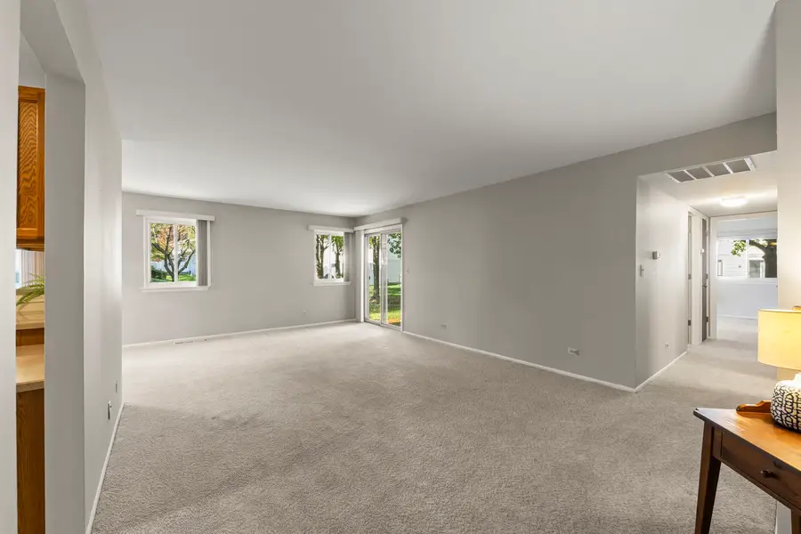 252 Shoreline Circle #Z1, Schaumburg, IL 60194 - #3