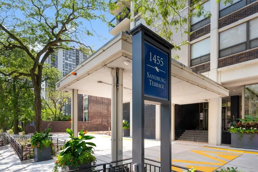 1455 N Sandburg Terrace #508, Chicago, IL 60610 - #2