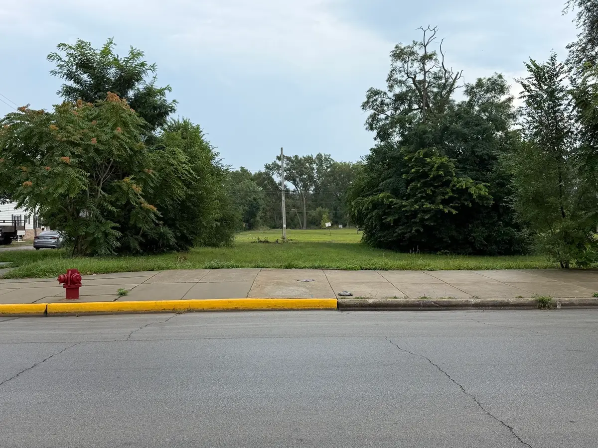 8801 S Houston Avenue, Chicago, IL 60617 - #1