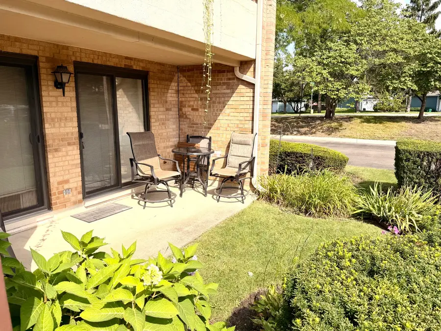 174 E Springbrook Drive #1B, Bloomingdale, IL 60108 - #2
