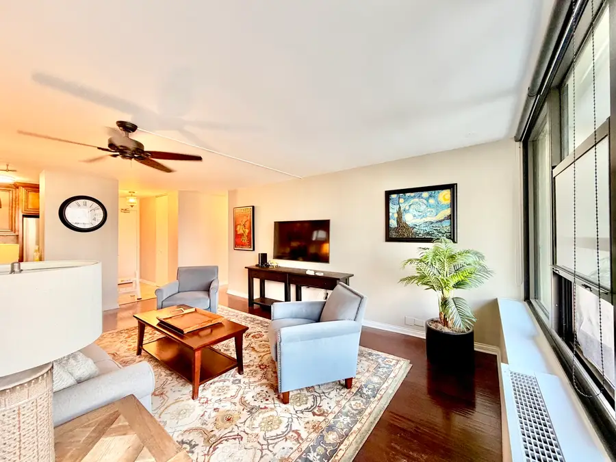 1560 N Sandburg Terrace #2110J, Chicago, IL 60610 - #3