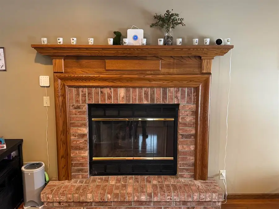 1401 Carrie Avenue, Rochelle, IL 61068 - #3