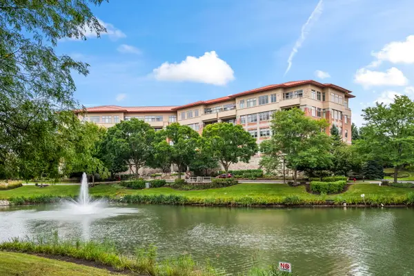 45 Prairie Park Drive #208, Wheeling, IL 60090