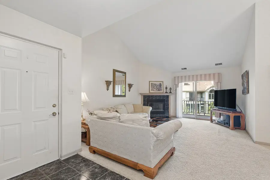 18430 Pine Cone Drive #4, Tinley Park, IL 60477 - #3